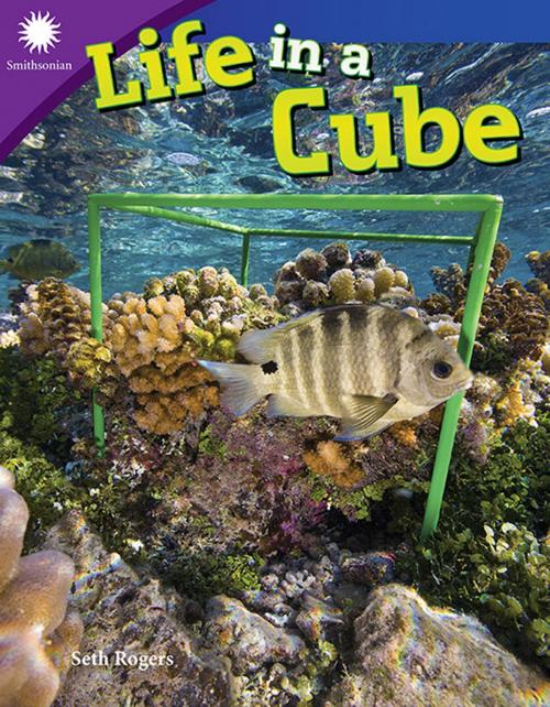 Cover of the book Life in a Cube by Seth Rogers, Teacher Created Materials