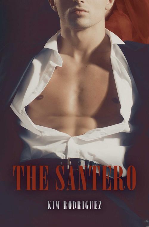 Cover of the book The Santero by Kim Rodriguez, Omnific Publishing