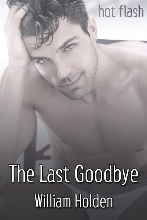 Cover of the book The Last Goodbye by William Holden, JMS Books LLC