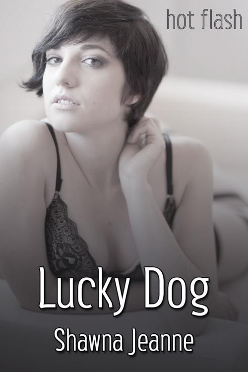 Cover of the book Lucky Dog by Shawna Jeanne, JMS Books LLC