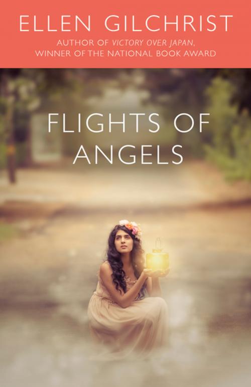 Cover of the book Flights of Angels by Ellen Gilchrist, Diversion Books