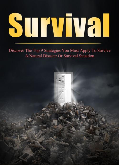 Cover of the book Survival Discover The Top 9 Strategies You Must Apply To Survive A Natural Disaster Or Survival Situation by Old Natural Ways, FASTLANE LLC