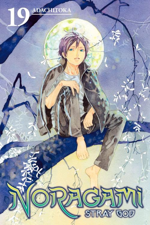 Cover of the book Noragami: Stray God 19 by Adachitoka, Kodansha
