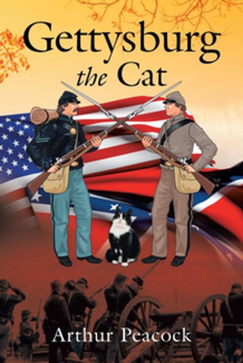 Cover of the book Gettysburg the Cat by Arthur Peacock, Stratton Press