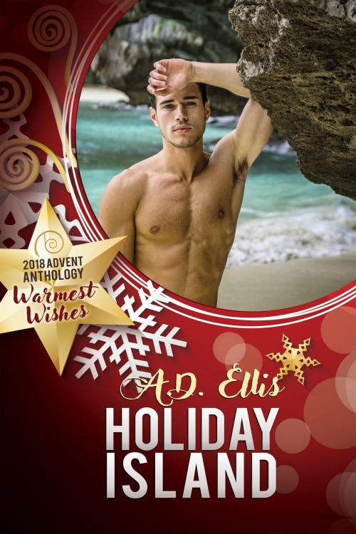 Cover of the book Holiday Island by A.D. Ellis, Dreamspinner Press