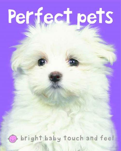 Cover of the book Bright Baby Touch & Feel Perfect Pets by Roger Priddy, St. Martin's Press