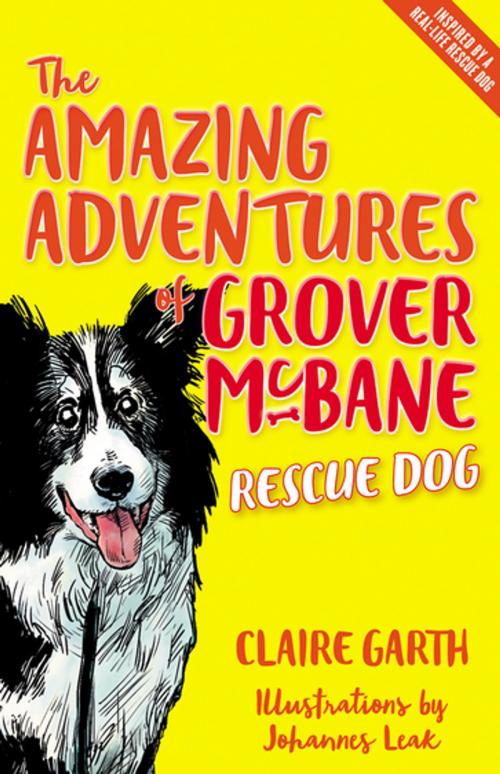 Cover of the book The Amazing Adventures of Grover McBane, Rescue Dog by Claire Garth, Schwartz Books Pty. Ltd.