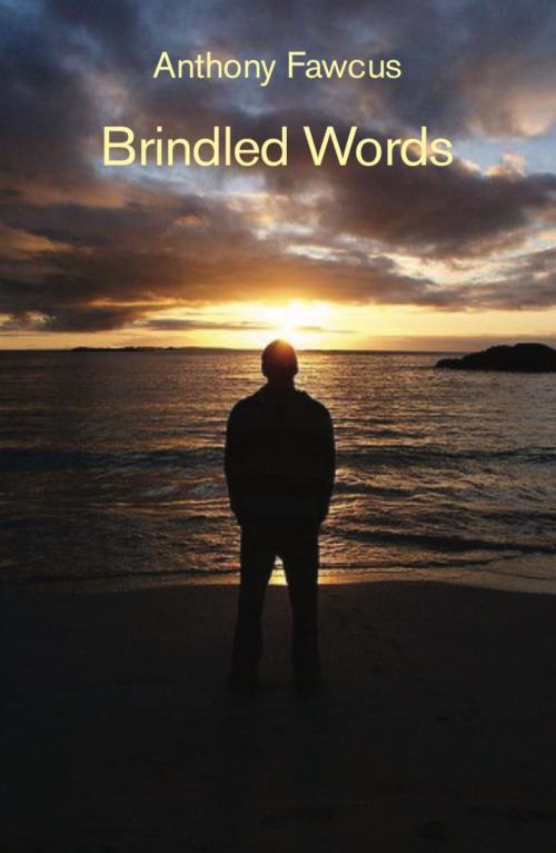 Cover of the book Brindled Words by Antony Fawcus, Ginninderra Press