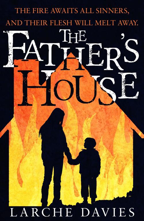 Cover of the book The Father's House by Larche Davies, Troubador Publishing Ltd