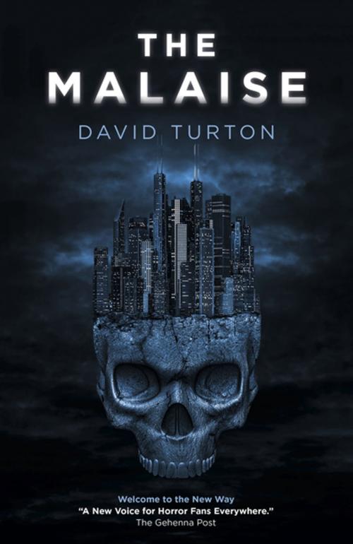 Cover of the book The Malaise by David Turton, John Hunt Publishing
