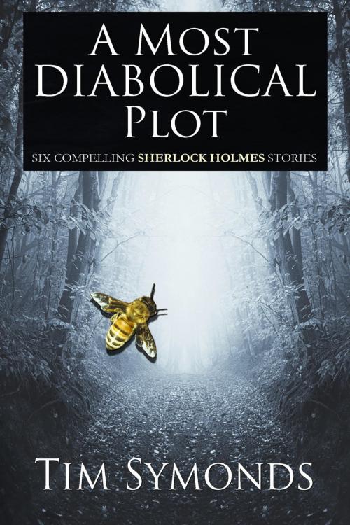 Cover of the book A Most Diabolical Plot by Tim Symonds, Andrews UK