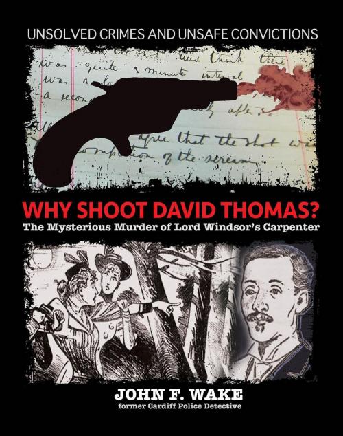 Cover of the book Why Shoot David Thomas? - The Mysterious Murder of Lord Windsor's Carpenter by JOHN F. WAKE, Wordcatcher Publishing