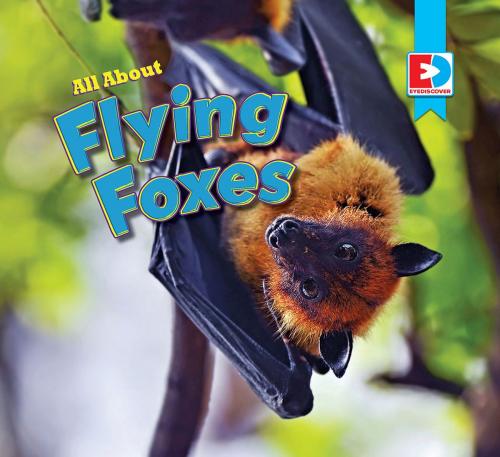 Cover of the book All About Flying Foxes by Katie Gillespie, Weigl Publishers Inc.