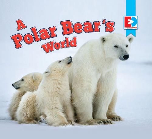 Cover of the book A Polar Bear's World by Katie Gillespie, Weigl Publishers Inc.