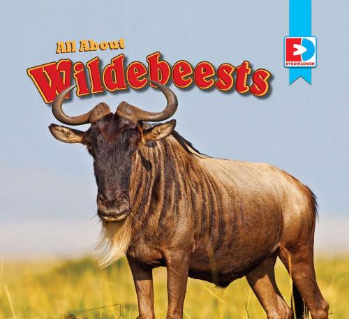 Cover of the book All About Wildebeests by Katie Gillespie, Weigl Publishers Inc.