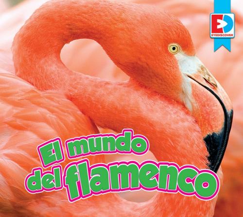 Cover of the book El mundo del flamenco by John Willis, Weigl Publishers Inc.