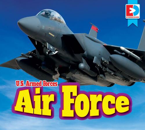 Cover of the book Air Force by Heather DiLorenzo Williams and Warren Rylands, Weigl Publishers Inc.