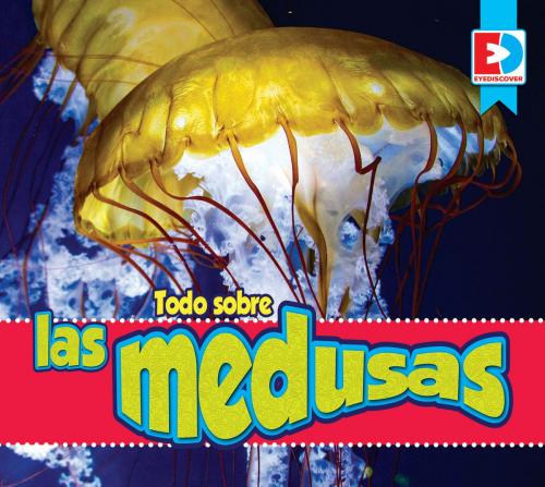 Cover of the book Todo sobre las medusas by Katie Gillespie, Weigl Publishers Inc.
