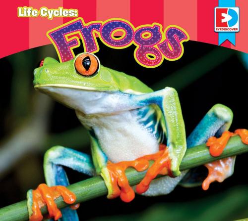 Cover of the book Life Cycles: Frogs by Katie Gillespie, Weigl Publishers Inc.