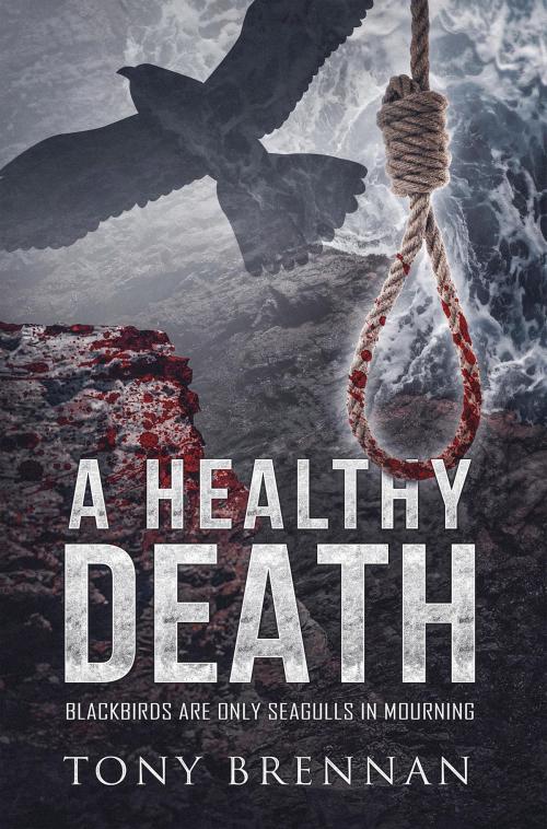 Cover of the book A Healthy Death by Tony Brennan, Vivid Publishing