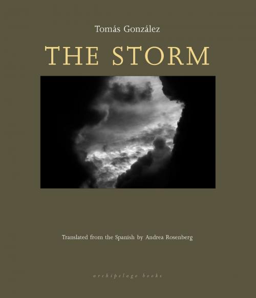 Cover of the book The Storm by Tomas Gonzalez, Steerforth Press