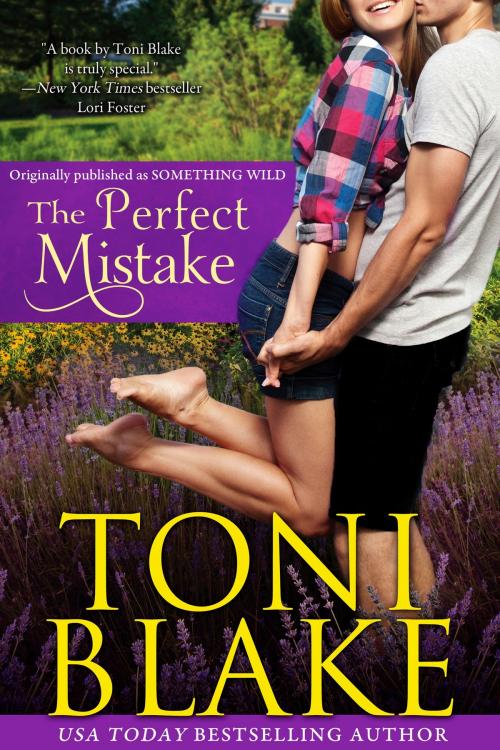 Cover of the book The Perfect Mistake by Toni Blake, Toni Blake