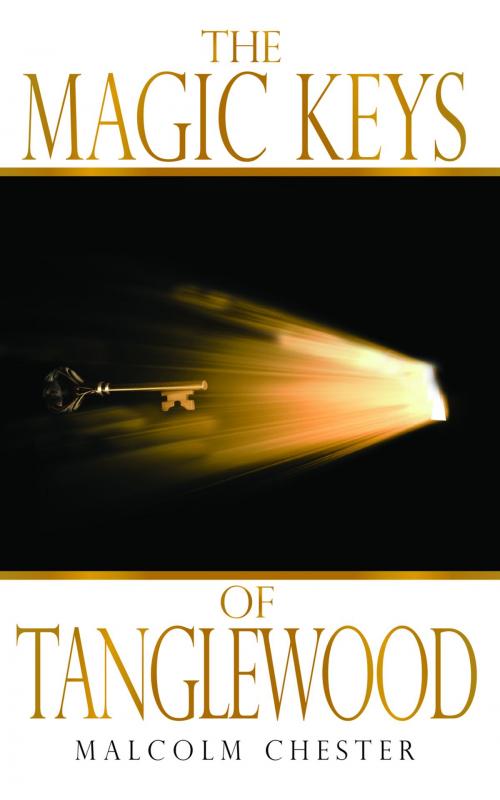 Cover of the book The Magic Keys of Tanglewood by Malcolm Chester, Lettra Press LLC