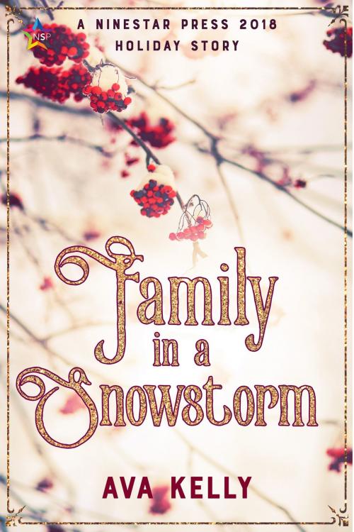 Cover of the book Family in a Snowstorm by Ava Kelly, Nine Star Press