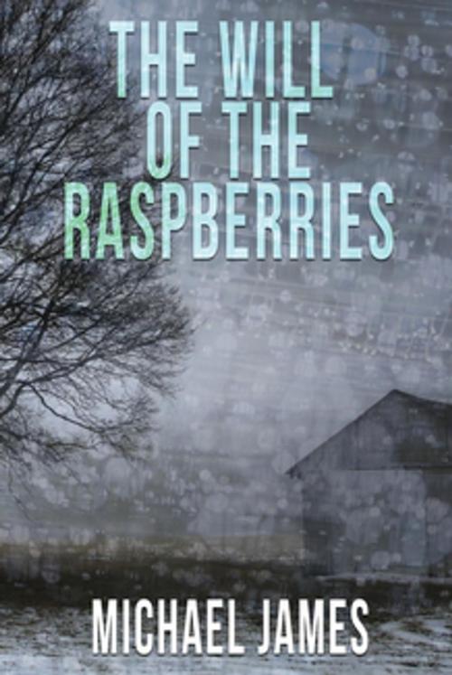 Cover of the book The Will of the Raspberries by Michael James, Kingston Publishing Company