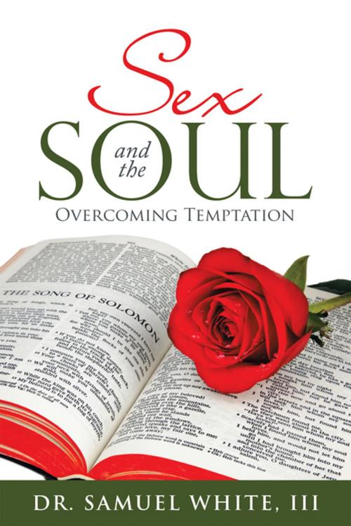 Cover of the book Sex and the Soul by Dr. Samuel White III, WestBow Press