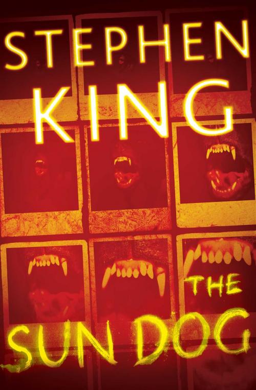 Cover of the book The Sun Dog by Stephen King, Scribner