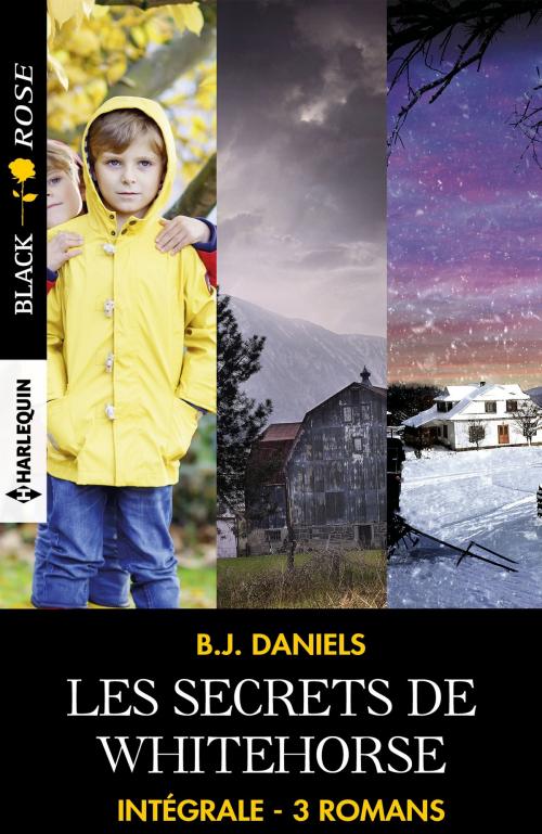 Cover of the book Intégrale de la série "Les secrets de Whitehorse" by B.J. Daniels, Harlequin