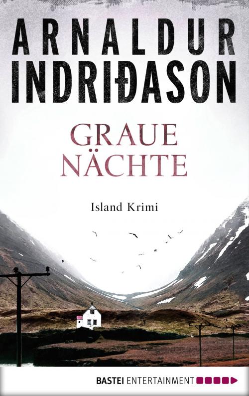 Cover of the book Graue Nächte by Arnaldur Indriðason, Bastei Entertainment