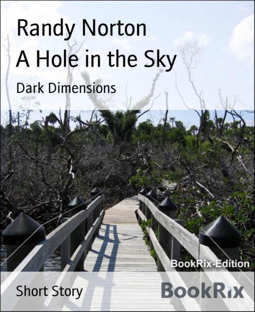 Cover of the book A Hole in the Sky by Randy Norton, BookRix