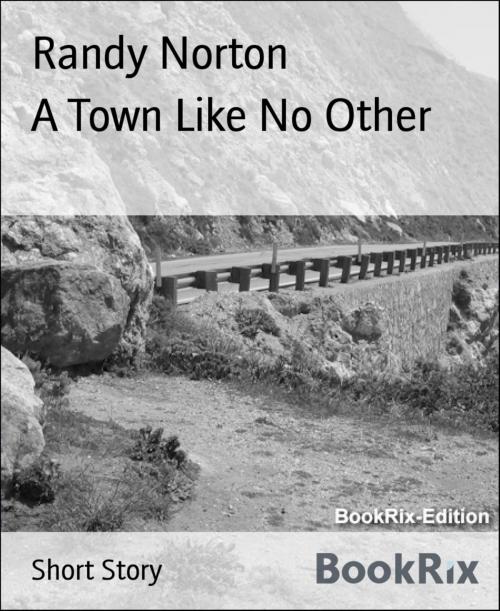 Cover of the book A Town Like No Other by Randy Norton, BookRix