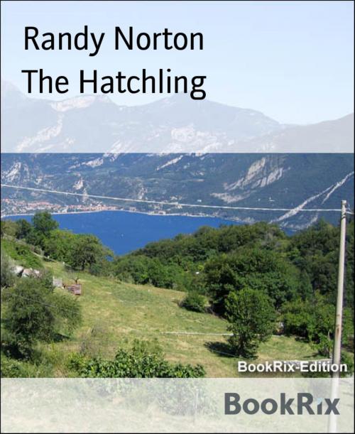 Cover of the book The Hatchling by Randy Norton, BookRix