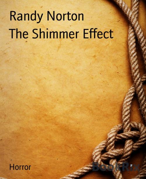 Cover of the book The Shimmer Effect by Randy Norton, BookRix