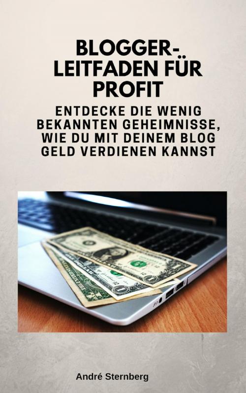 Cover of the book Blogger-Leitfaden für Profit by Andre Sternberg, neobooks