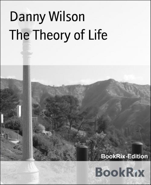 Cover of the book The Theory of Life by Danny Wilson, BookRix
