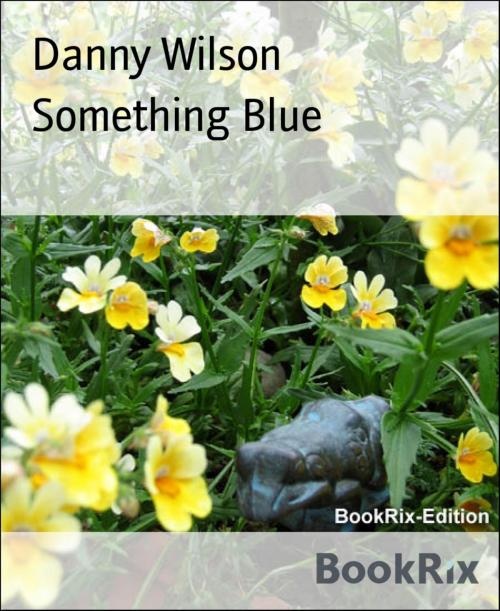 Cover of the book Something Blue by Danny Wilson, BookRix