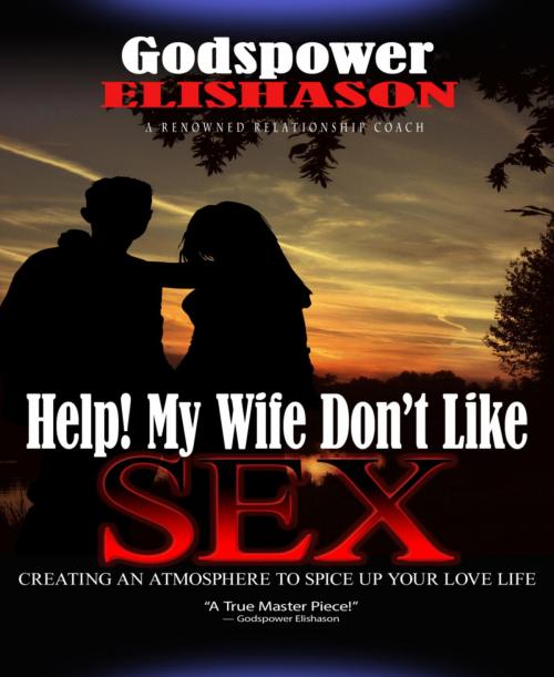 Cover of the book Help! My Wife Don't Like Sex by Godspower Elishason, BookRix
