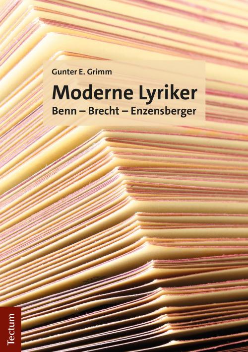 Cover of the book Moderne Lyriker by Gunter E. Grimm, Tectum Wissenschaftsverlag