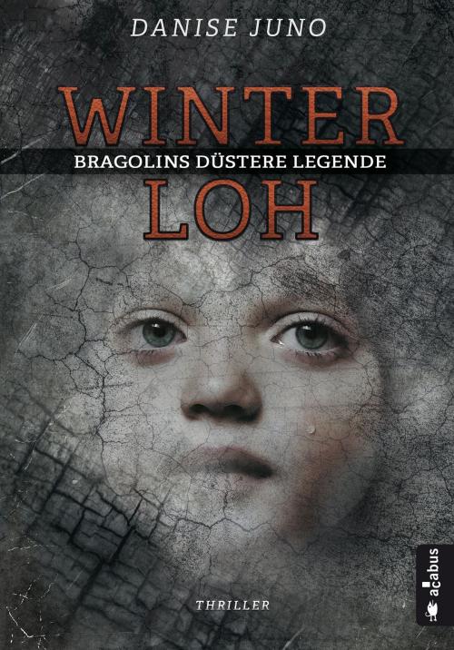 Cover of the book Winterloh. Bragolins düstere Legende by Danise Juno, Acabus Verlag