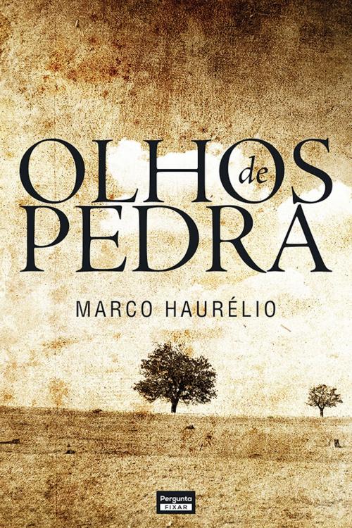 Cover of the book Olhos de pedra by Marco Haurélio, Pergunta Fixar