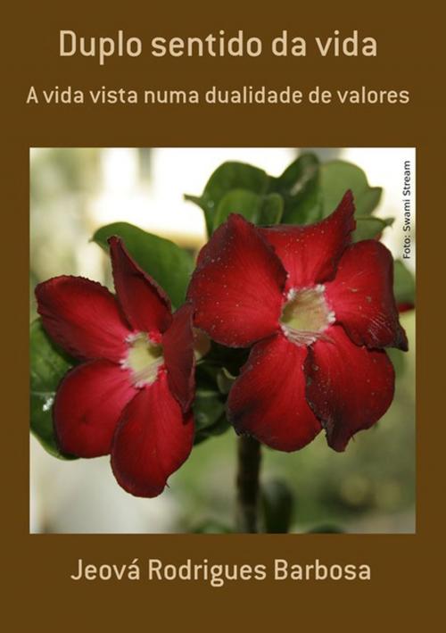 Cover of the book Duplo Sentido Da Vida by Jeová Rodrigues Barbosa, Clube de Autores