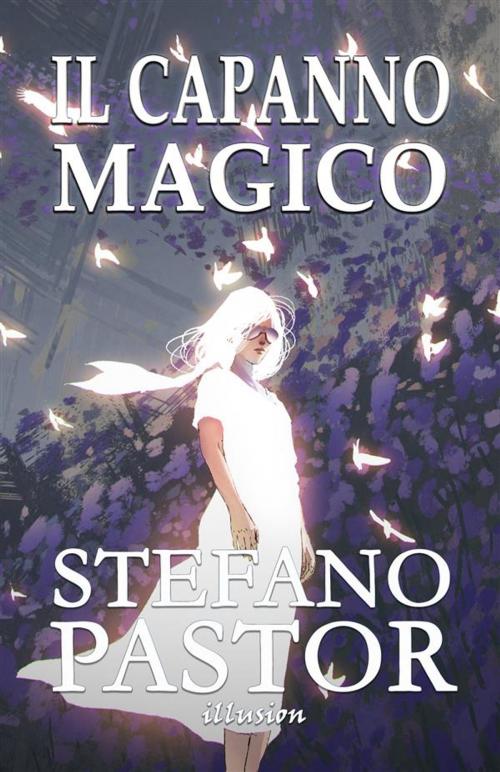 Cover of the book Il capanno magico by Stefano Pastor, Illusion