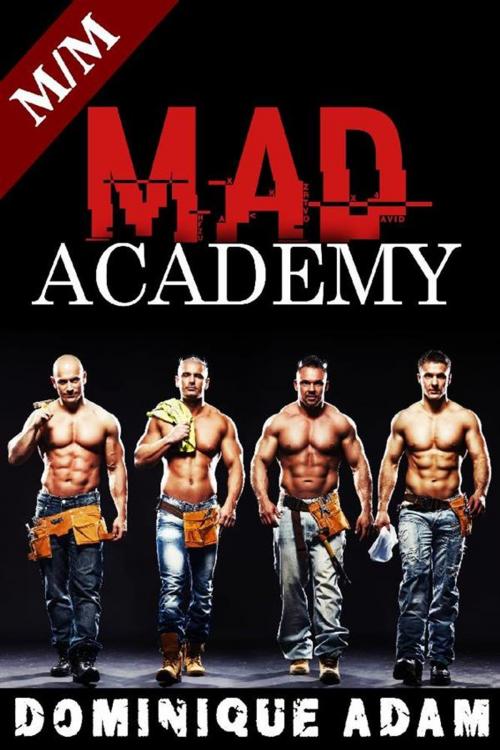 Cover of the book Mad Academy by dominique adam, Dominique Adam