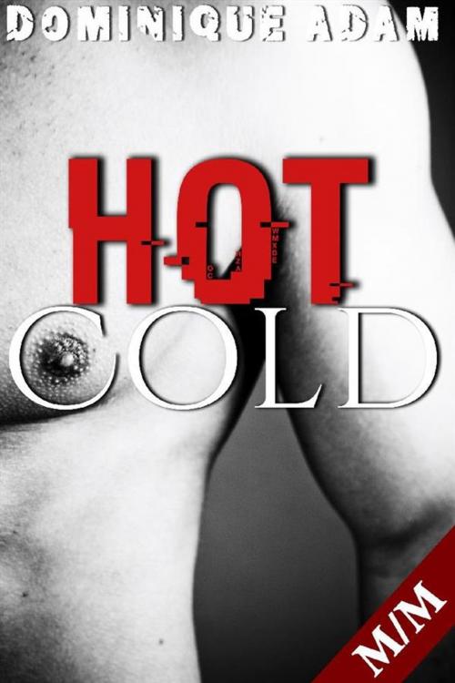 Cover of the book Hot & Cold by dominique adam, Dominique Adam