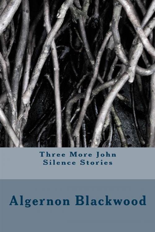 Cover of the book Three More John Silence Stories by Algernon Blackwood, anamsaleem