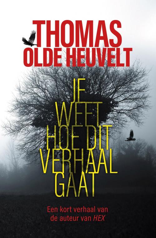 Cover of the book Je weet hoe dit verhaal gaat by Thomas Olde Heuvelt, Luitingh-Sijthoff B.V., Uitgeverij